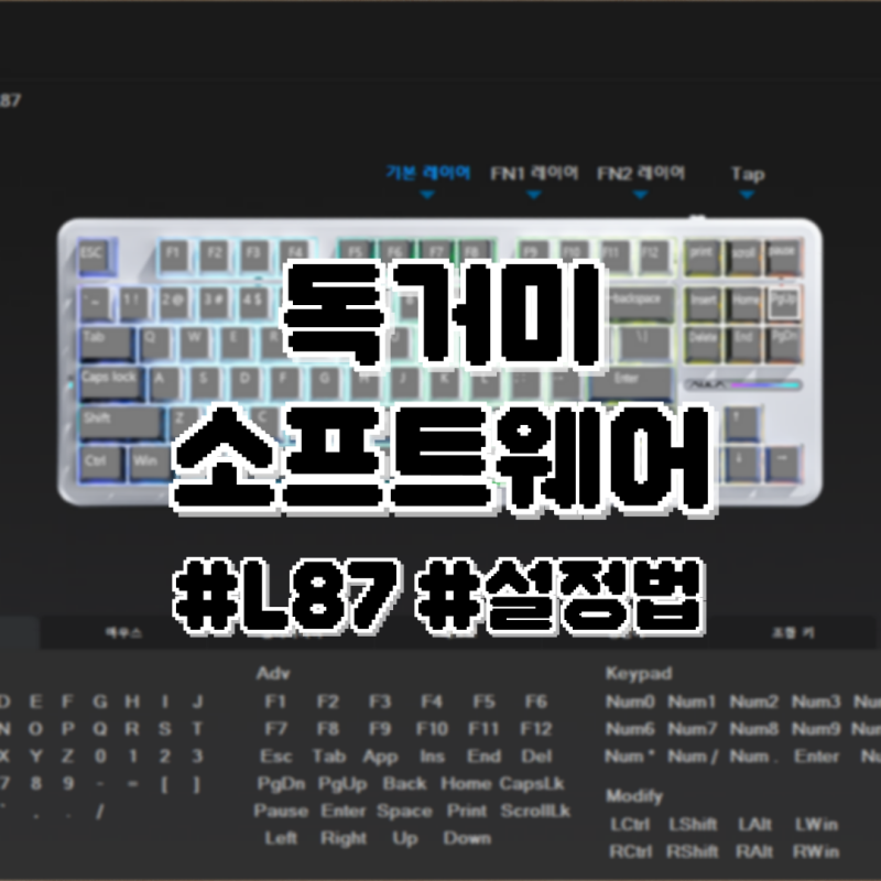 독거미 소프트웨어 설치 오류? 다운로드 링크 및 Aula L87 설정법 총정리