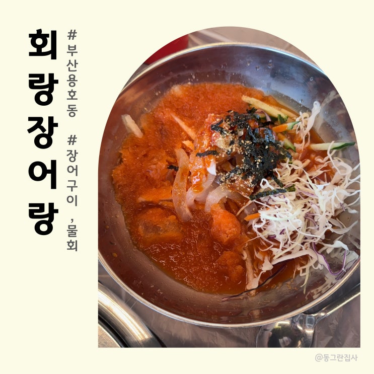 부산 용호동 물회 맛집 회랑장어랑 내돈내산 솔직후기