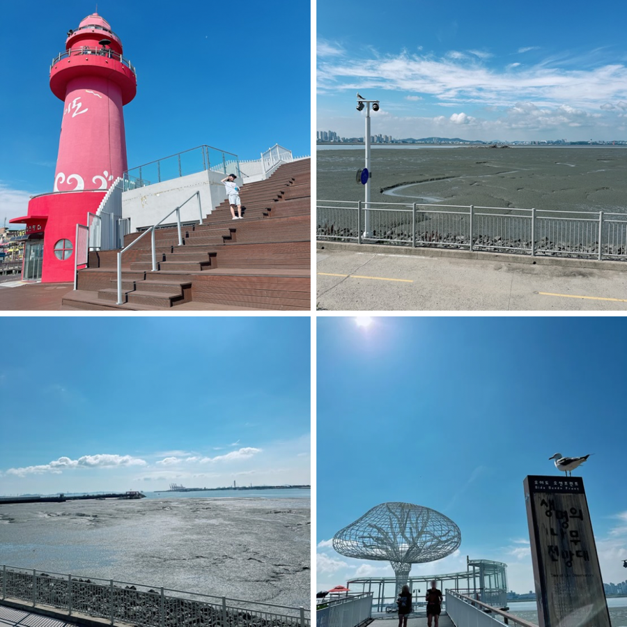 교동짬뽕 오이도점 사진 2