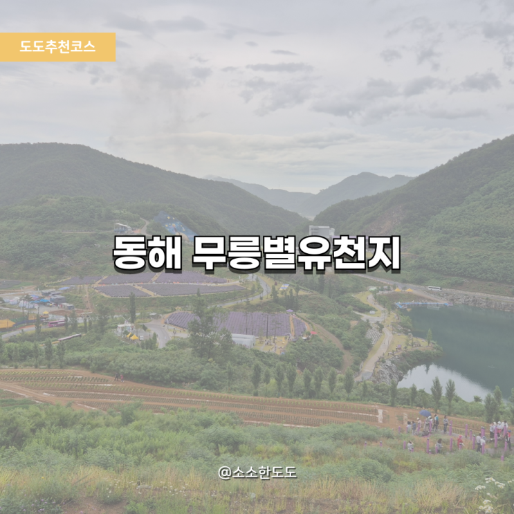  [도도추천코스]아이와 동해 여행지 추천｜무릉별유천지 리얼후기 (KTX, 라벤더 정원, 액티비티 총정리)