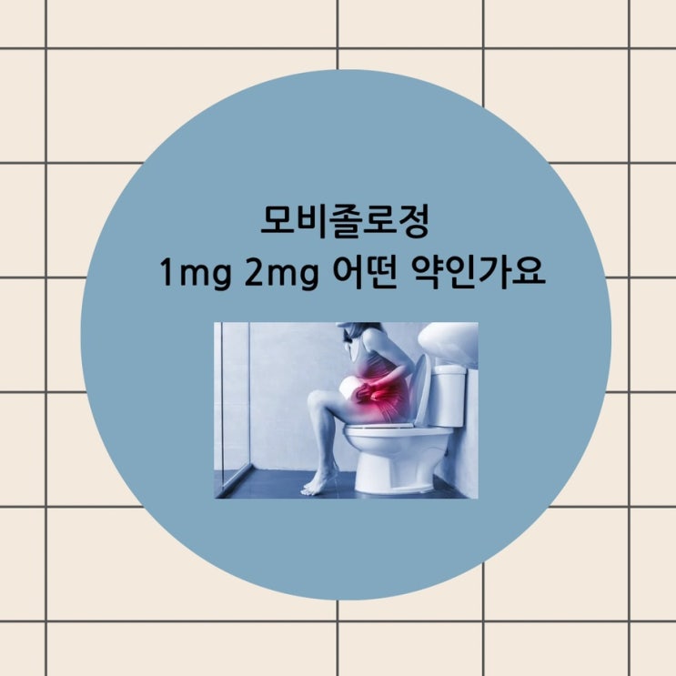 모비졸로정 1mg 2mg 효능 효과 부작용 알아볼게요!