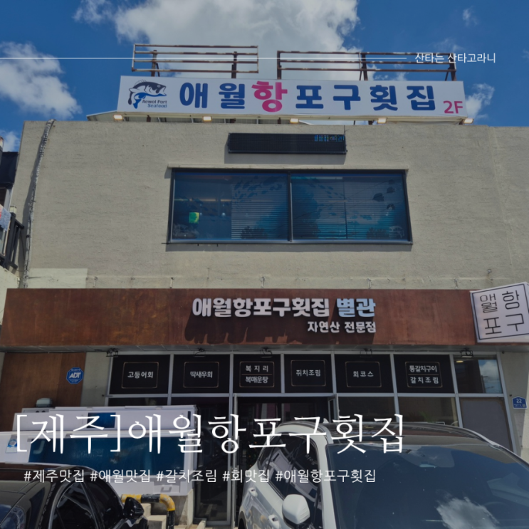 제주도 도민추천 애월맛집, 애월항포구횟집 갈치조림도 맛있네?