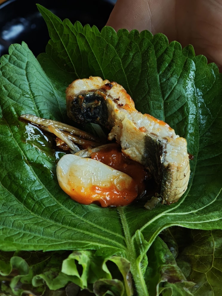  용인 한화리조트 맛집의 숨은 보석! 장어명가 풍천민물장어직판장에서 A등급 장어의 진수를 맛보다