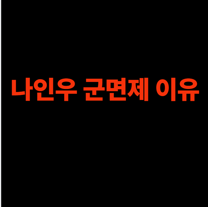 <b>나인우 군면제</b> 이유