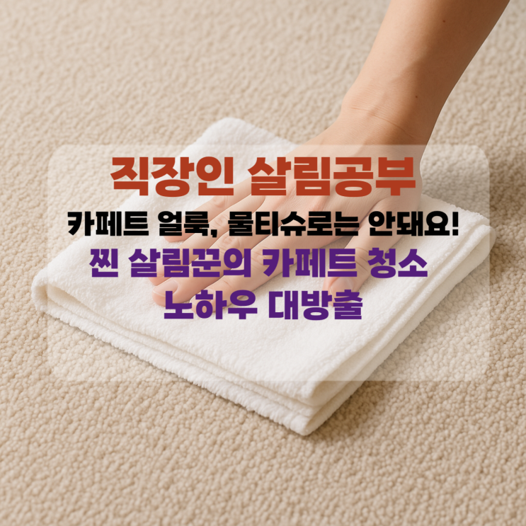  [직장맘 살림] 카페트 얼룩, 물티슈로는 안돼요! 찐 살림꾼의 카페트 청소 노하우 대방출
