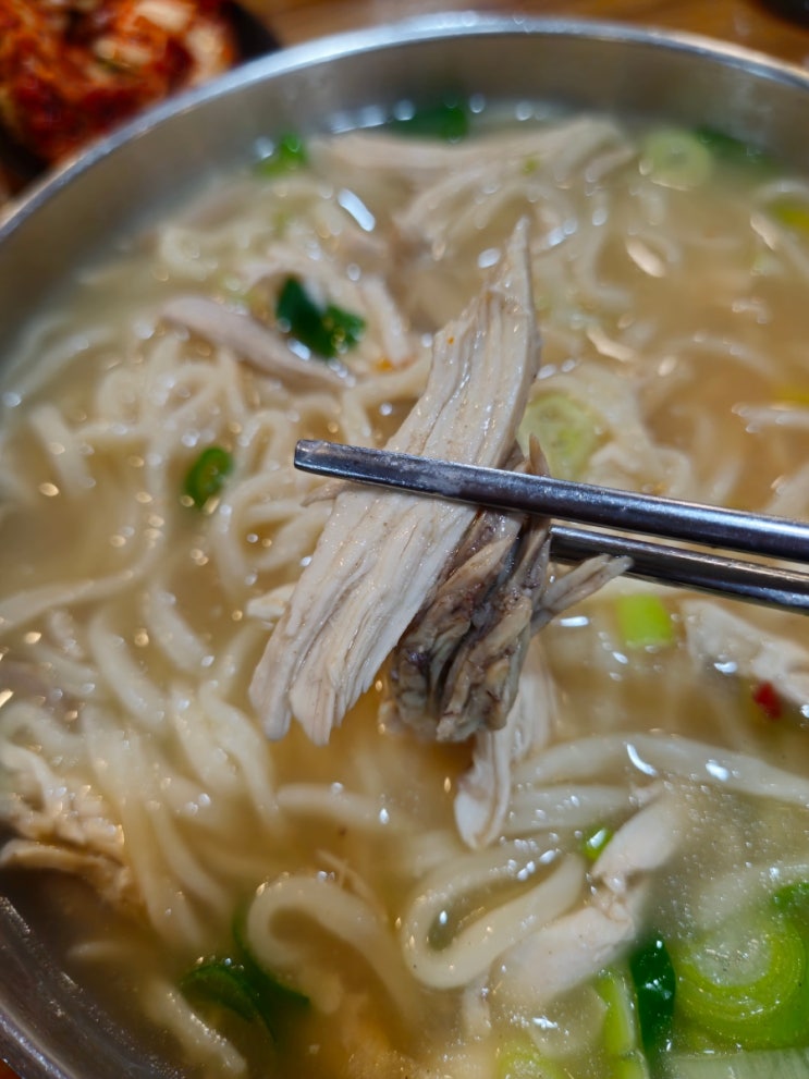  내돈내산 닭칼국수 바지락칼국수 줄서는맛집 ;일산칼국수 화정점