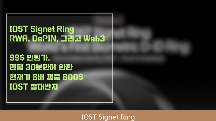  IOST 시그넷 링(Signet Ring)  $99에 민팅한 반지가 지금은 $600.