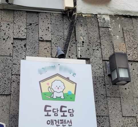 도담도담애견펜션 사진 3