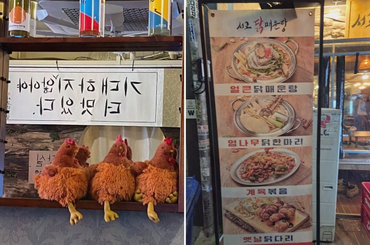  가족과 즐기는 특별한 메뉴, 서교닭매운탕 회식 장소