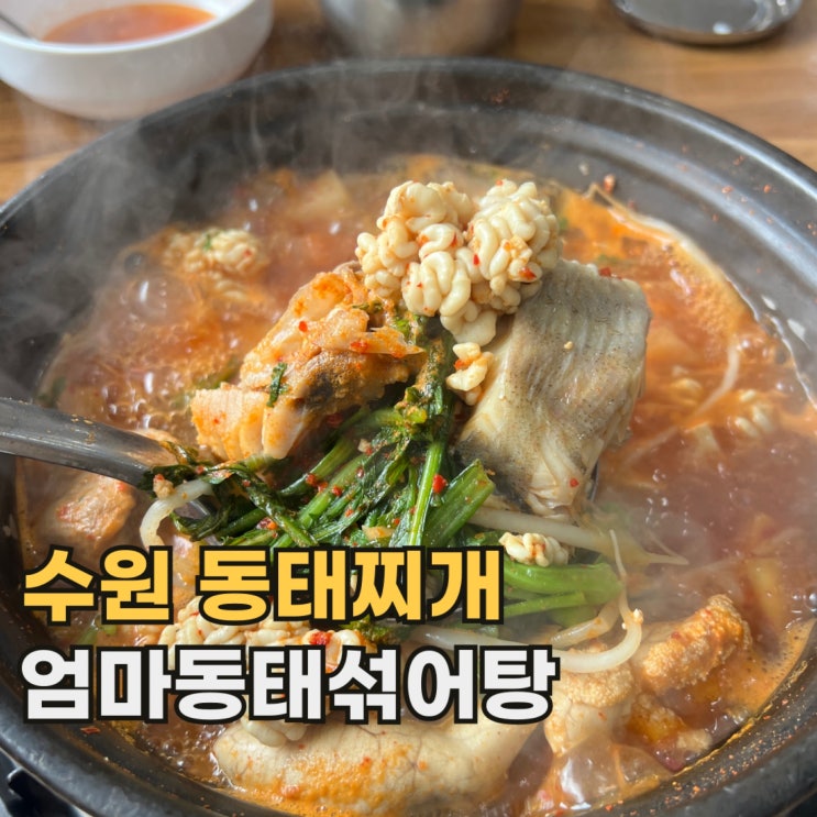  수원 엄마동태섞어탕 아주대 근처 로컬 동태탕 맛집