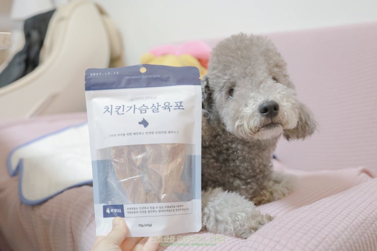 강아지 닭가슴살 애견간식 바삭한 수제간식