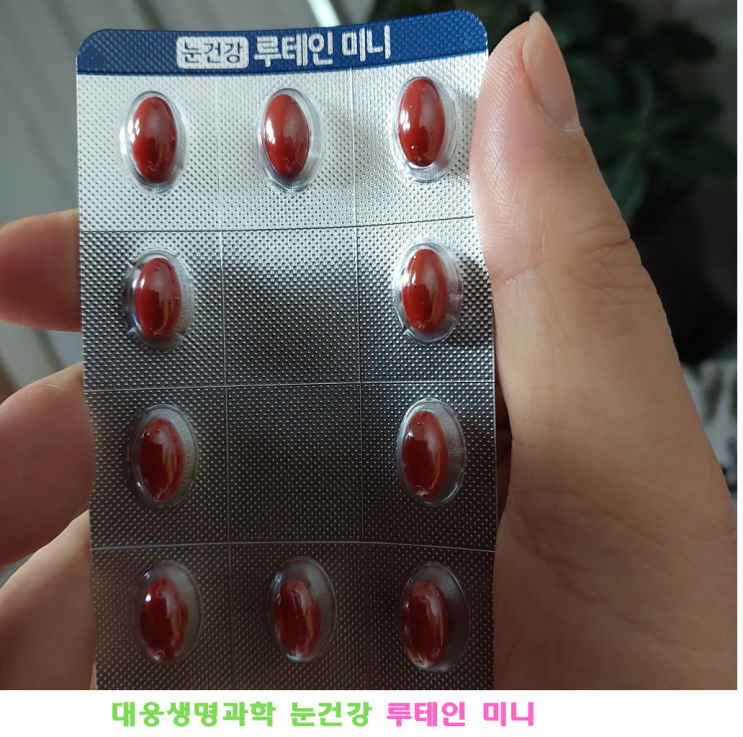 대웅생명과학 눈건강 루테인 미니 후기 | 하루 한 캡슐로 간편한 눈 관리
