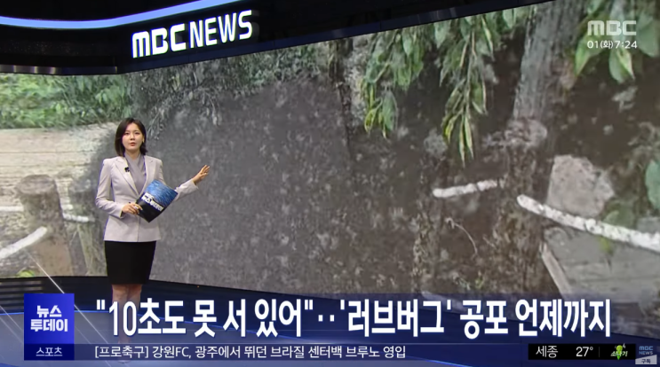 "10초도 못 서 있어"‥러브버그 공포 언제까지 / 남편 코로나 주식 거래 논란…검증 벼르는 국민의힘 / 북한에서 줄줄이 흘러오는 방사능 폐수...서해는 이미 오염됐다?