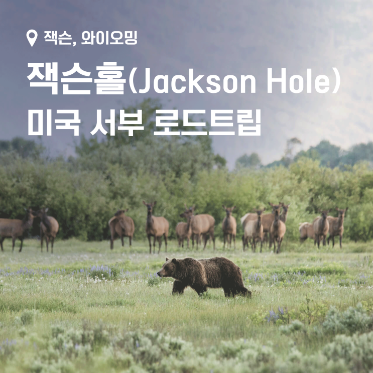 미국 억만장자들의 최고급 휴양지, 와일드 웨스트의 상징 잭슨홀에 가다