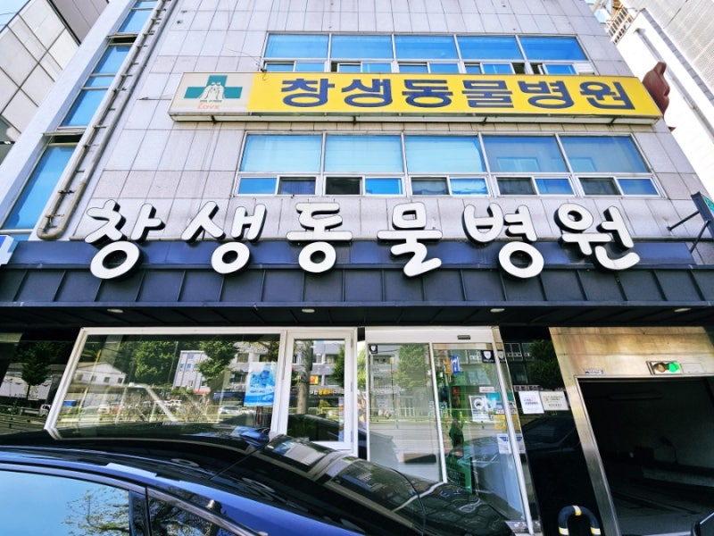 마산 친절한 동물병원(고양이진료)-창생동물병원