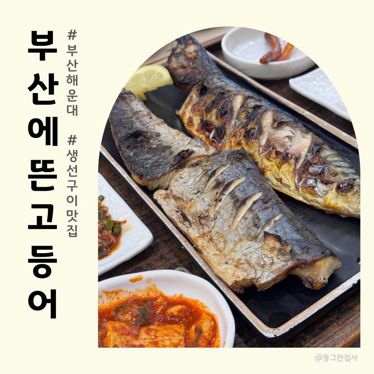  부산 해운대 맛집 부산에뜬고등어 해운대점 내돈내산 달맞이길 생선구이 밥집
