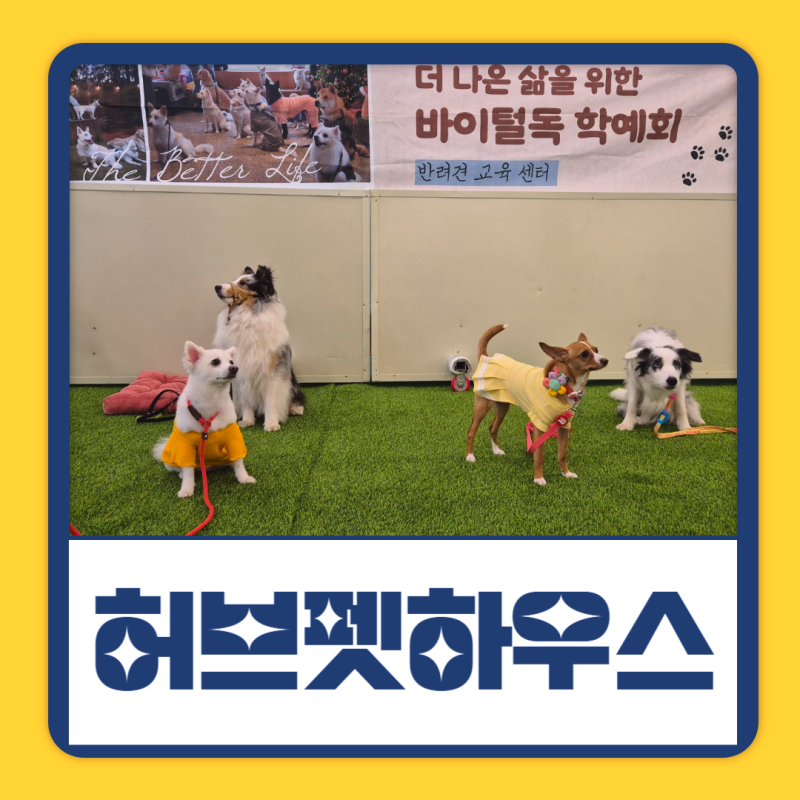 허브펫하우스