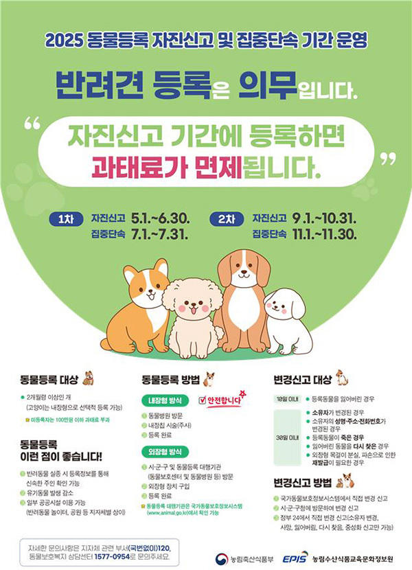 7월 <b>반려동물 미등록</b> 집중<b>단속</b> 안내