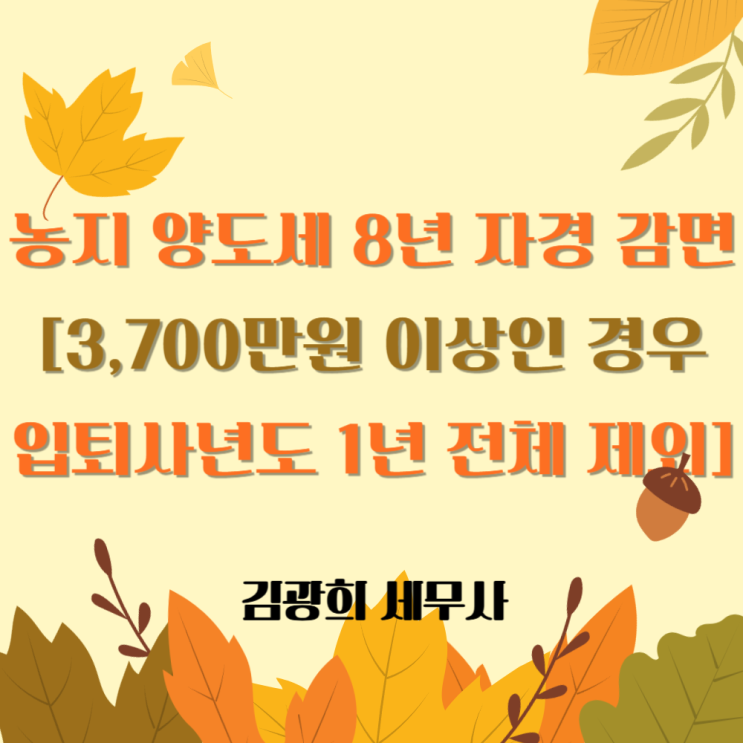  농지 양도세 자경 소득 요건[3,700만원 이상인 경우, 입퇴사년도 1년 전체 제외]
