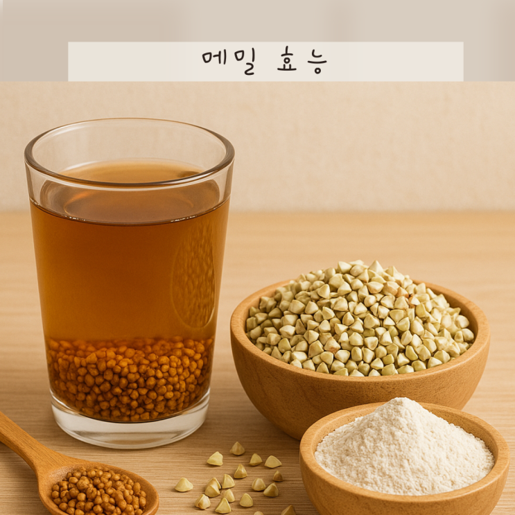 메밀 효능 부작용, 메밀가루 메밀차 숨은 효능알면 건강하게 먹을수 있죠