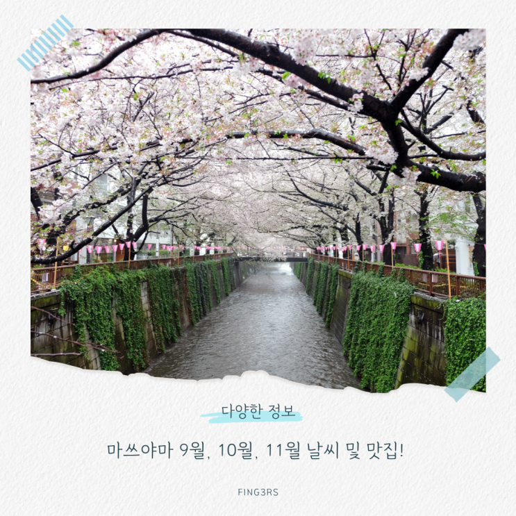 마쓰야마 9월, 10월, 11월 날씨 및 맛집! 온천과 역사의 도시 가을 여행