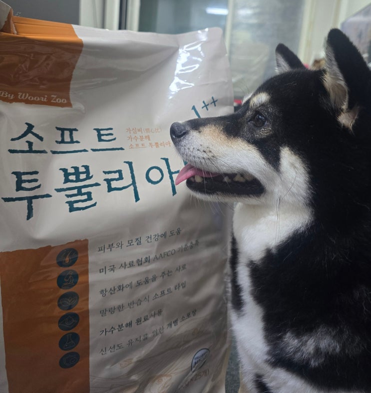 [리뷰] 민감한 피모를 가진 강아지 집사님들에게 추천드려요 - 소프트 투뿔리아 황태와연어