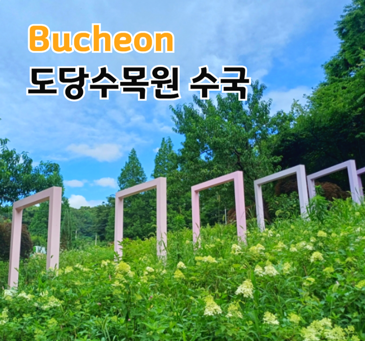 부천 수국 보러 간곳은? 도당수목원! 연못, 아기장수바위
