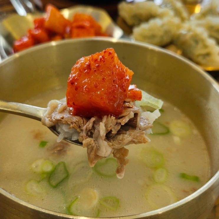 전북대 맛집 '서울깍두기 전북대점' 24시 설렁탕집 아침 점심 밥집