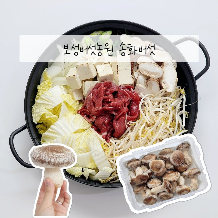  송화버섯 1kg 냉장냉동 보관법 및 먹는법 꿀팁