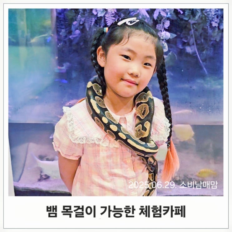  비 오는 날에도 신나게! 별내 아쿠아파크 샌드플레이