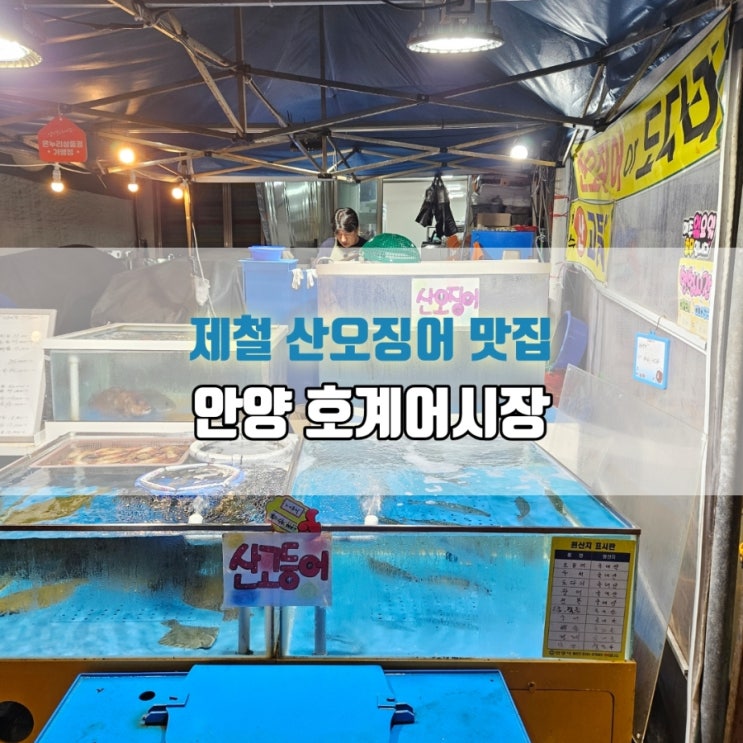  안양 산오징어회 포장 맛집｜호계어시장 솔직 후기