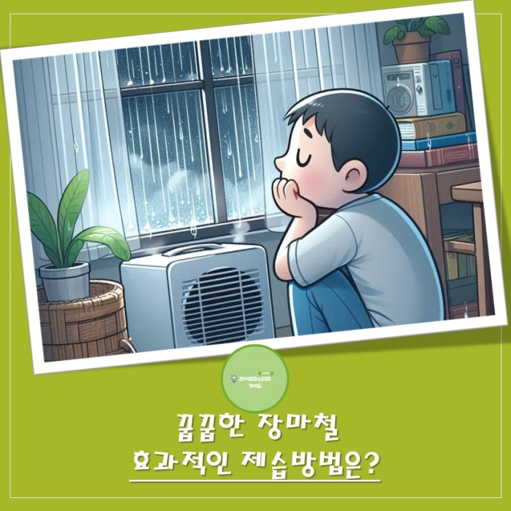 꿉꿉한 장마, 제습 고민 끝! | 양초, 숯, 신문지, 솔방울, 에어컨 및 선풍기의 제습 효과