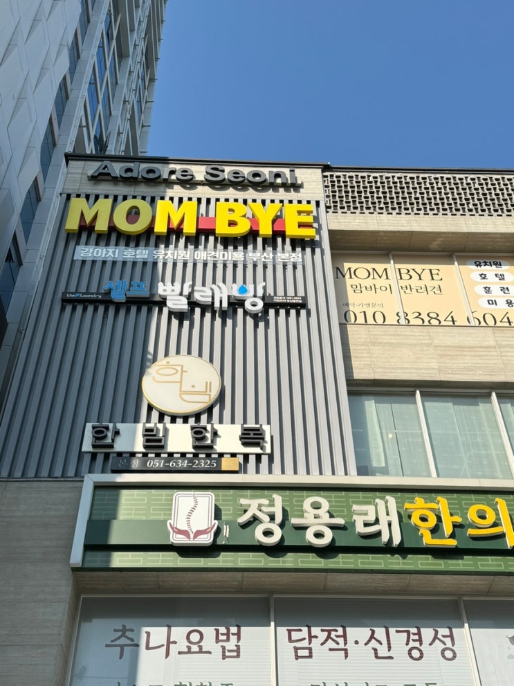맘 편히 맡길 수 있는 부산애견유치원 맘바이 서면본점