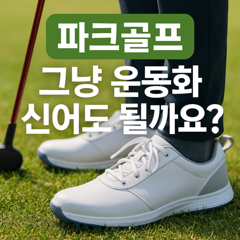 파크골프.. 그냥 운동화 신어도 될까요? – 3년차가 알려주는 골프화 이야기