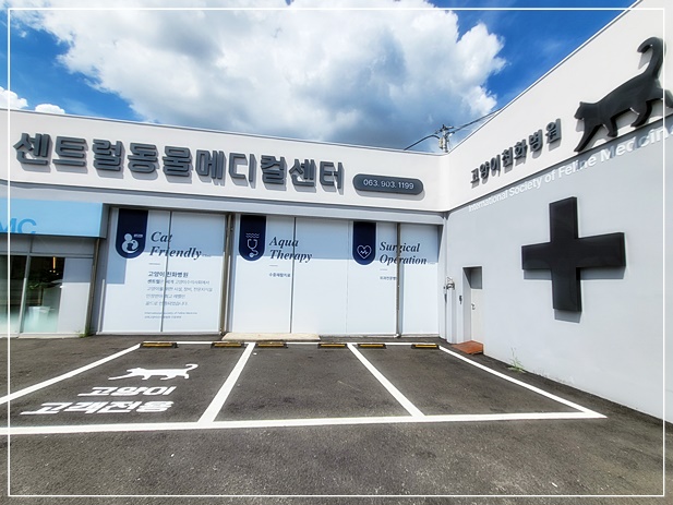 전주동물병원 고양이 진료에 진심인 곳! (faet. 정읍, 김제)