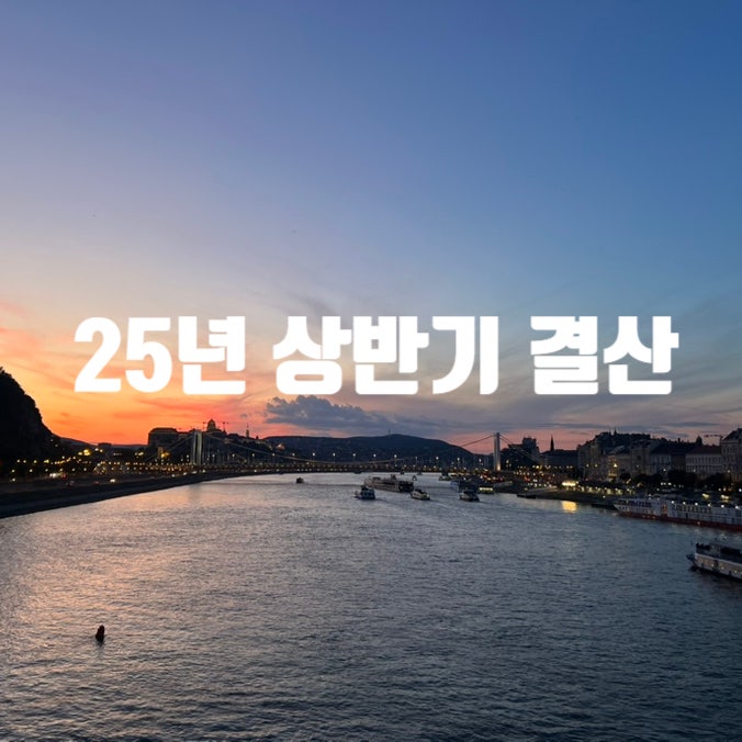  2025 상반기 결산-벌써 반년