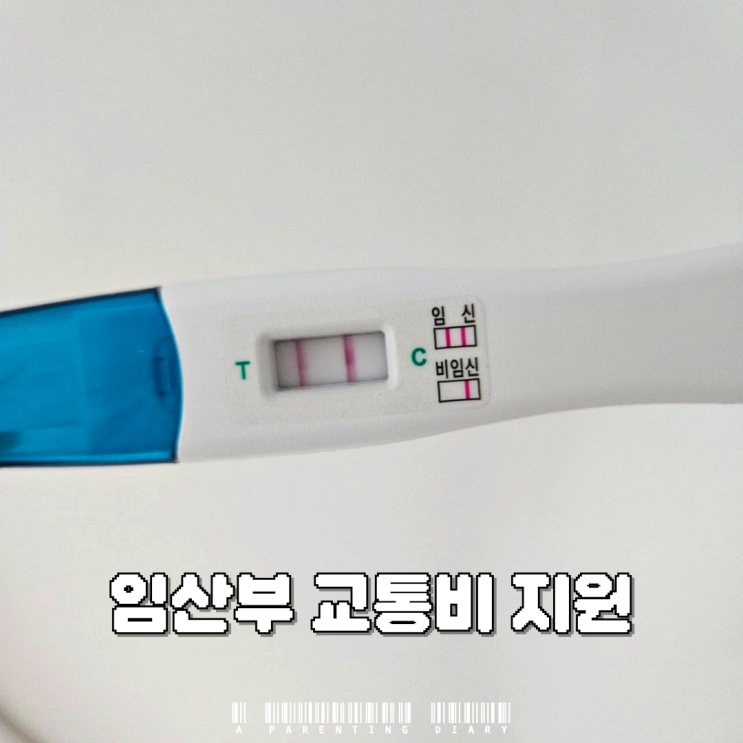  임산부 교통비 지원 대상 방법 신청(2025년 출산 및 육아 지원 정책 정리 파일 공유)