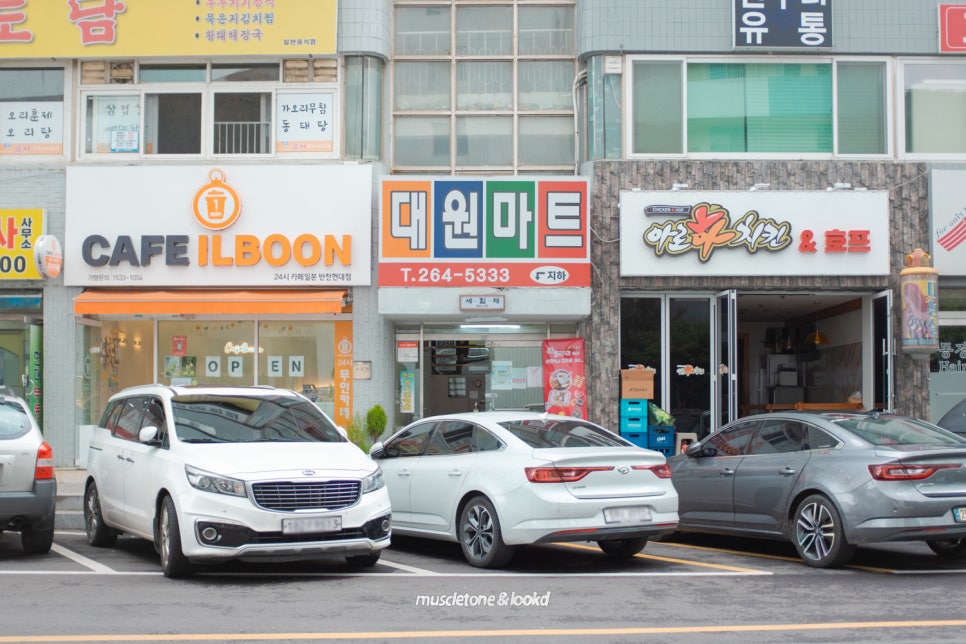 세힘채 사진 5