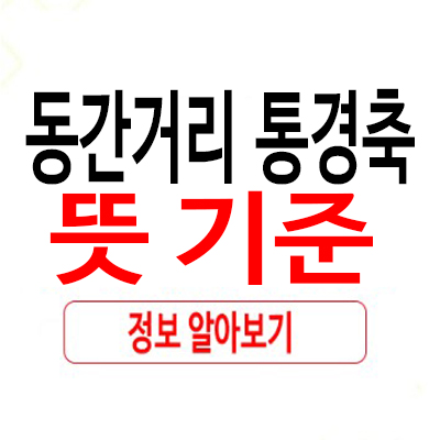 동간거리 통경축 뜻 살펴보자