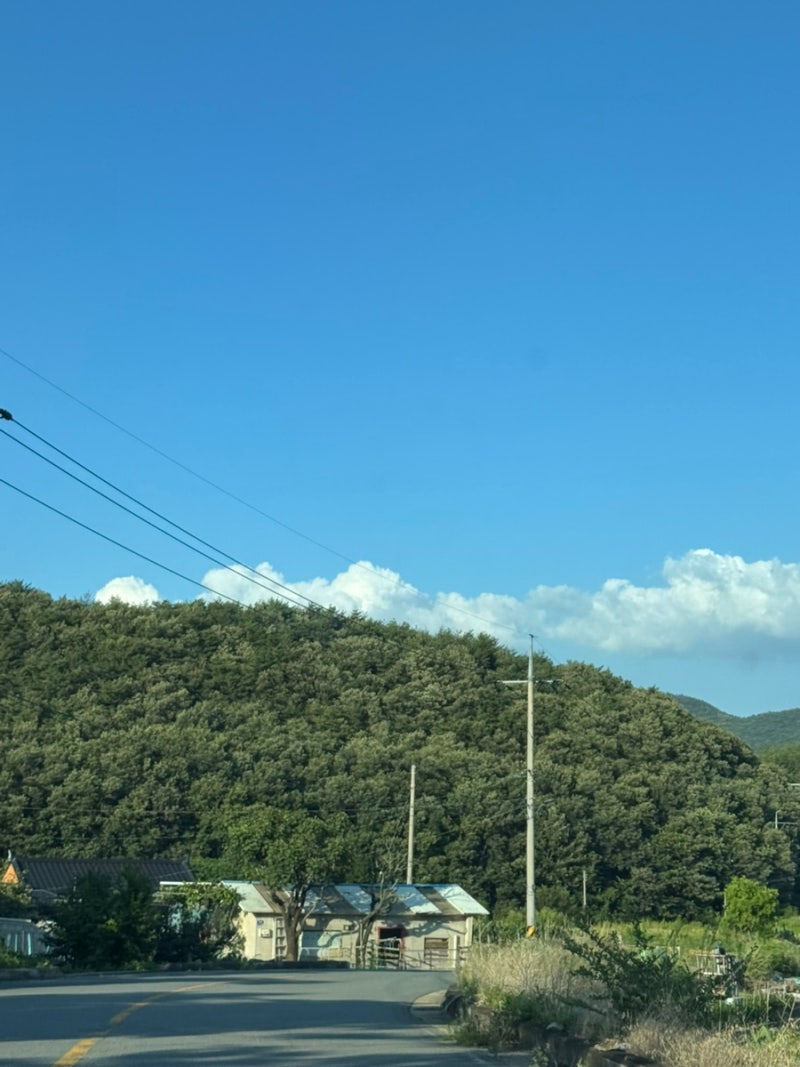 사진 6