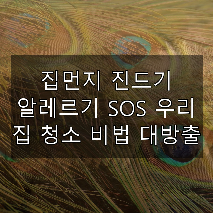 집먼지 진드기 알레르기 SOS 우리 집 청소 비법 대방출