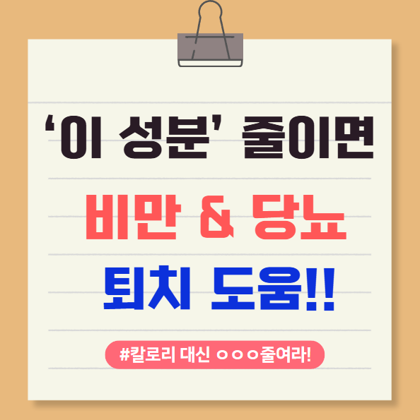  당뇨 저녁 단백질 식단 제한, 다이어트 한약과 만나면? (경희수 한방약국 원장의 최신 논문 분석)