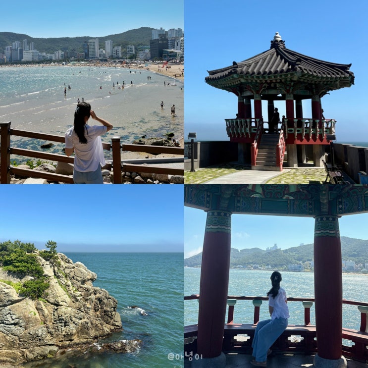  부산 송정해수욕장 근처 가볼만한곳 죽도공원 바다뷰 산책로