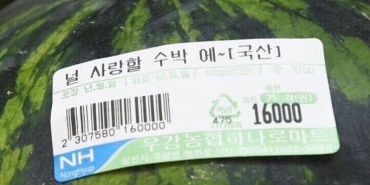 두 번째 <b>고창 수박축제</b> 후기