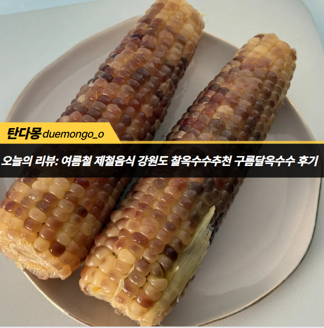 [구름달옥수수]여름 제철음식 강원도옥수수 찰옥수수 추천