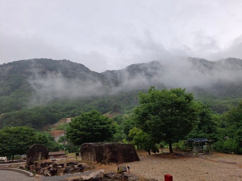 사진 5
