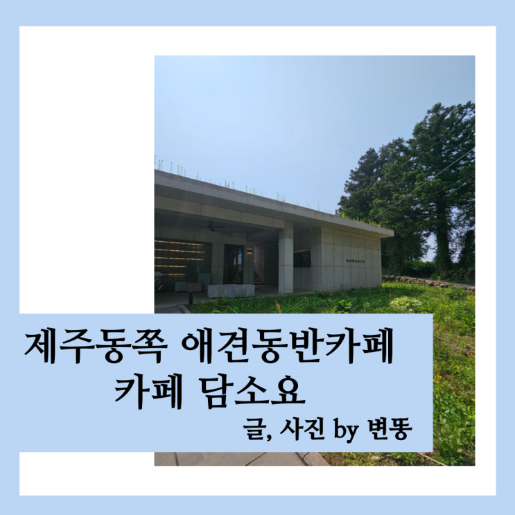  제주 아이랑 가볼만한 카페, 애견동반 카: 카페 담소요 내돈내산 찐 후기