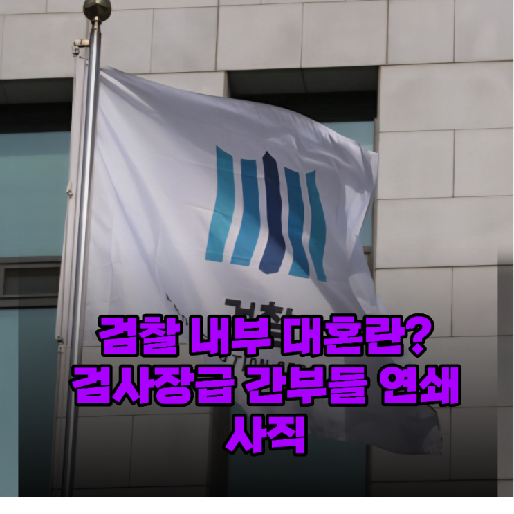 검사장들이 줄줄이 사표 내는 진짜 이유가 뭘까?