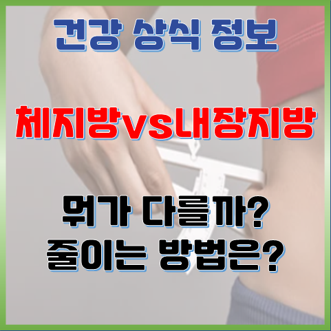  체지방과 내장지방, 뭐가 다를까? 효과적으로 줄이는 방법까지