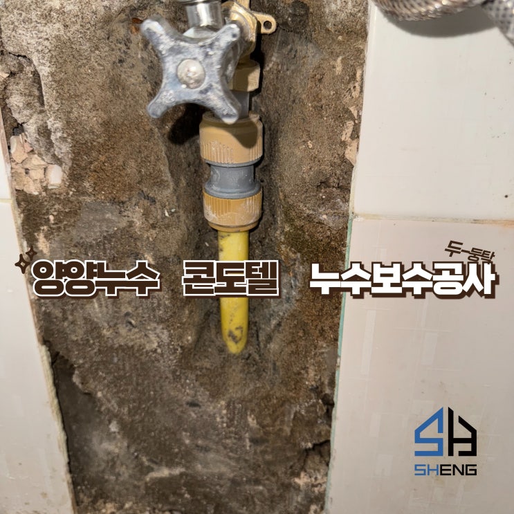  속초 양양 고성 인제 강릉 누수 전문 낙산 성신콘도텔 객실 누수보수 사례